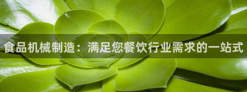 v大发彩神8iii：食品机械制造：满足您餐饮行业需求的一站式