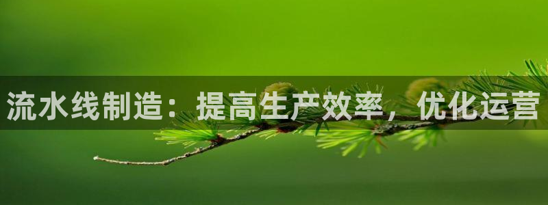 彩神是正规平台吗是真的吗：流水线制造：提高生产效率，优化运营