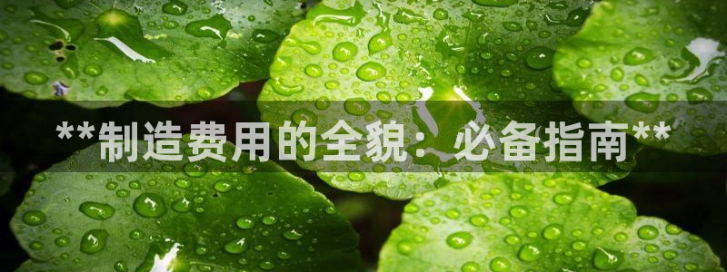 彩神vip购彩：**制造费用的全貌：必备指南**