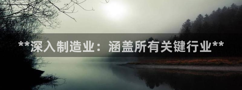 彩神v8手机客户端下载：**深入制造业：涵盖所有关键行业**