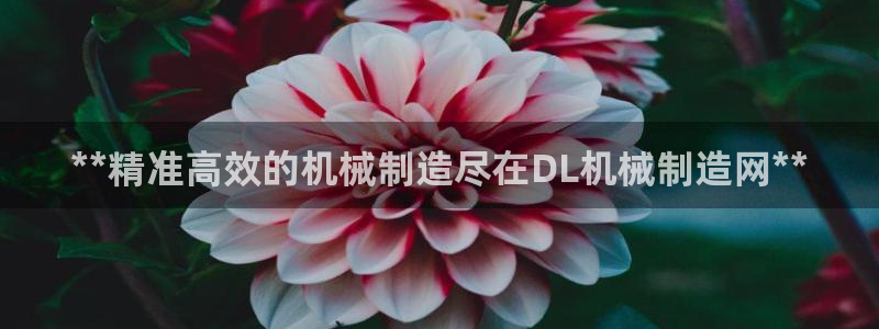 彩神网正规吗：**精准高效的机械制造尽在DL机械制造网**