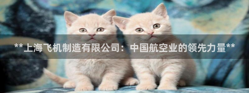 彩神天下专家专栏：**上海飞机制造有限公司：中国航空业的领先