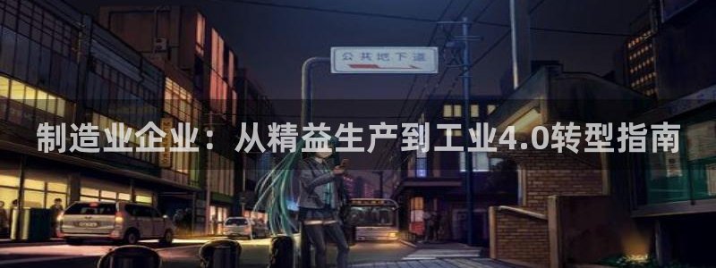 新版彩神v8登录不上去：制造业企业：从精益生产到工业4.0转型指南