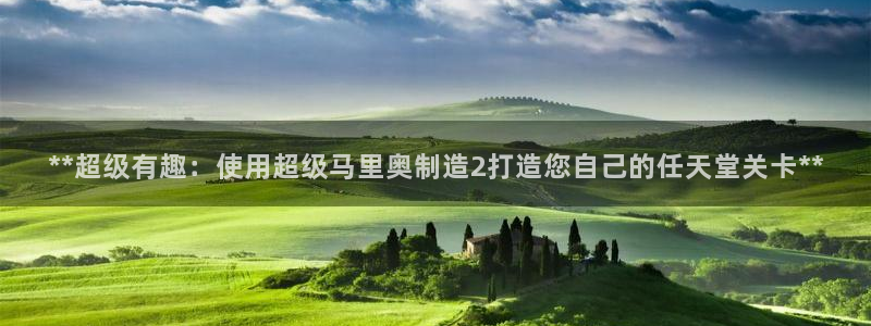 彩神vii官网大赢家：**超级有趣：使用超级马里奥制造2打造您自己的任天堂关卡**