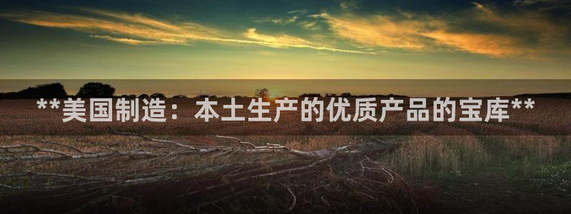 彩神8是正规平台吗安全吗：**美国制造：本土生产的优质产品的宝库**