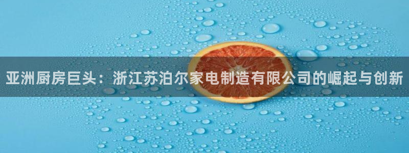彩神赢了钱登录不上去：亚洲厨房巨头：浙江苏泊尔家电制造有限公
