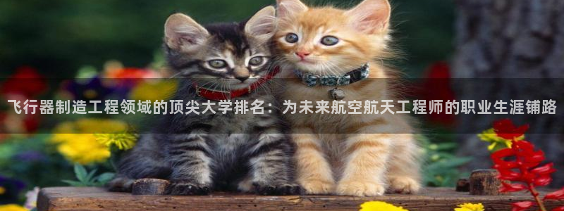 彩神8app官方下载