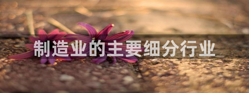 彩神大发云：制造业的主要细分行业