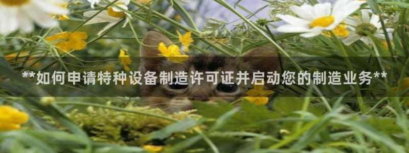 彩神vll官网-最新版app下载：**如何申请特种设备制造许可证并启动您的制造业务**