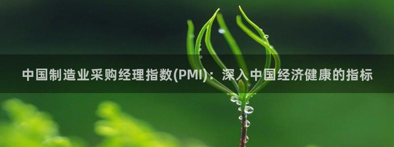 彩神系列平台：中国制造业采购经理指数(PMI)：深入中国经济健康的指标