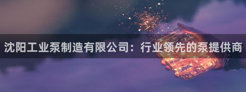 彩神输的钱是赌博还是诈骗：沈阳工业泵制造有限公司：行业领先的泵提供商