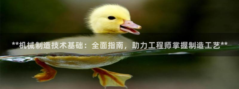 彩神旗下有哪些平台可以玩：**机械制造技术基础：全面指南，助