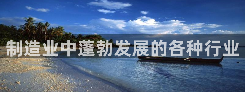 彩神8软件下载：制造业中蓬勃发展的各种行业