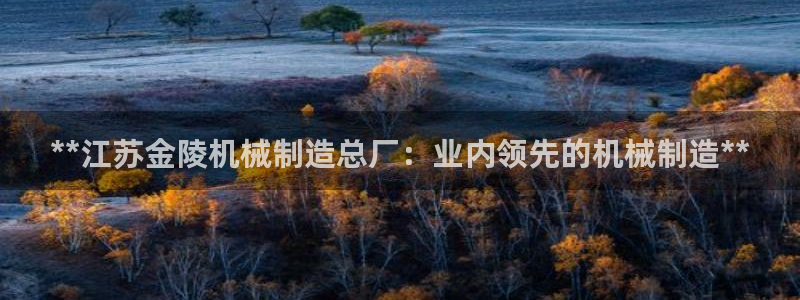 彩神vl购彩大厅：**江苏金陵机械制造总厂：业内领先的机械制造**