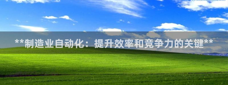 下载彩神v8：**制造业自动化：提升效率和竞争力的关键**