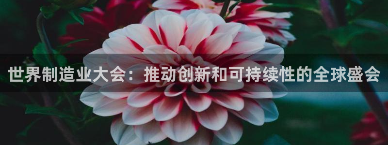 彩神v网赌软件下载：世界制造业大会：推动创新和可持续性的全球