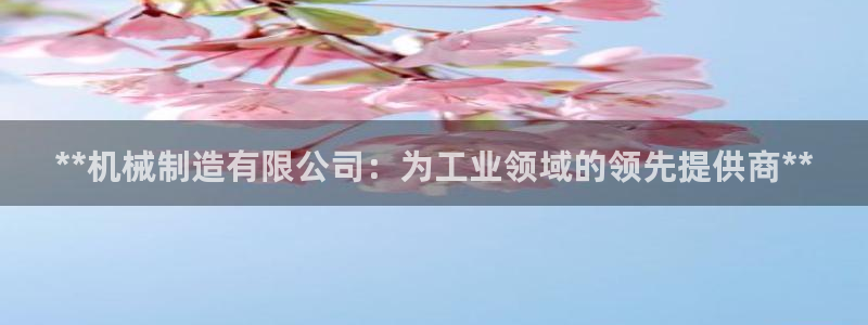 彩神V集团有限公司：**机械制造有限公司：为工业领域的领先提供商**
