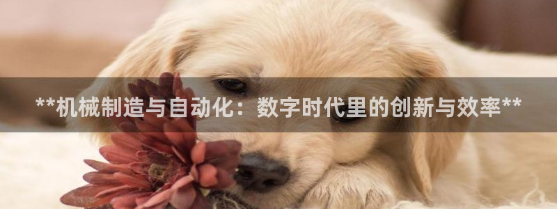 彩神到底能不能赚钱：**机械制造与自动化：数字时代里的创新与效率**