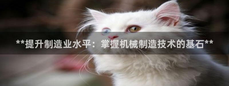彩神vip购彩大厅下载：**提升制造业水平：掌握机械制造技术的基石**