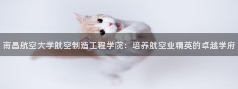 彩神ix是真的吗：南昌航空大学航空制造工程学院：培养航空业精英的卓越学府
