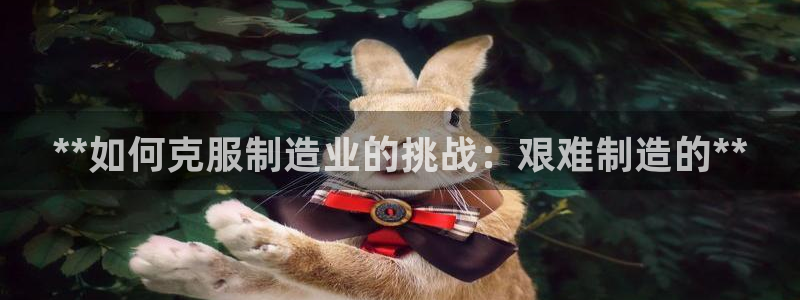 彩神的邀请码是多少：**如何克服制造业的挑战：艰难制造的**