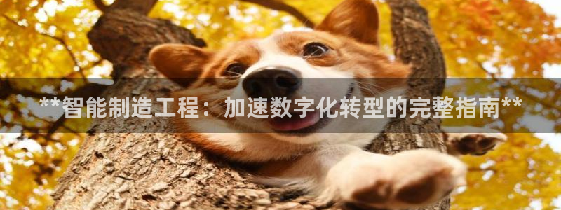下载彩神通关注金码