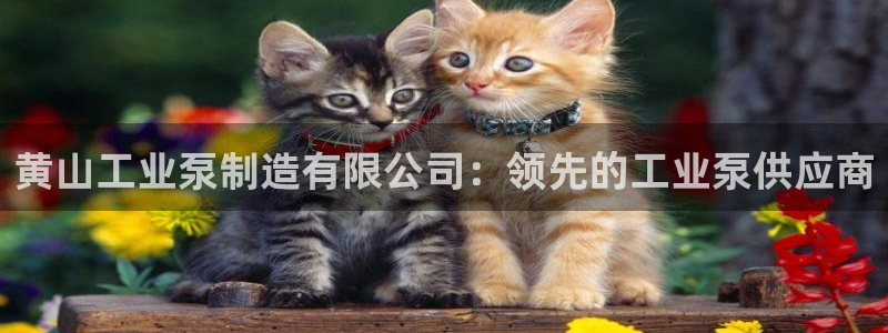 彩神xapp官方网站：黄山工业泵制造有限公司：领先的工业泵供