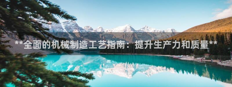 彩神是真的吗：**全面的机械制造工艺指南：提升生产力和质量**