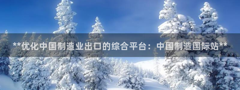 彩神盈利图片：**优化中国制造业出口的综合平台：中国制造国际站**