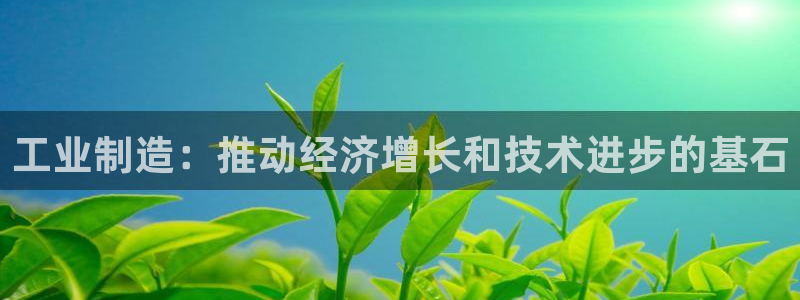 彩神vii官网大赢家