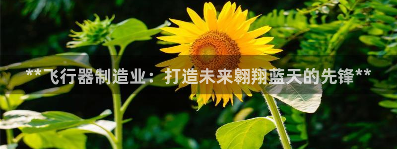 彩神v8手机客户端怎么下载