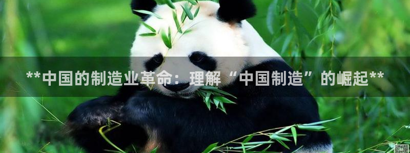新版彩神v8登录：**中国的制造业革命：理解“中国制造”的崛起**
