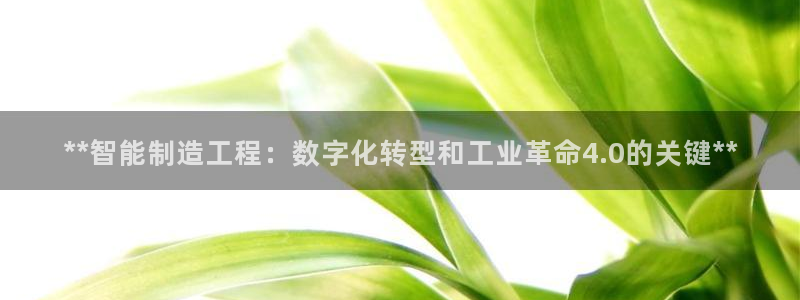 彩神平台是什么套路：**智能制造工程：数字化转型和工业革命4