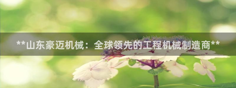 彩神v8官网版