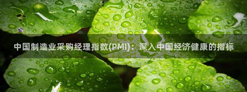 彩神v争霸有限公司：中国制造业采购经理指数(PMI)：深入中