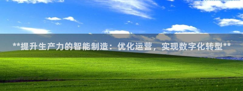 大发彩神争：**提升生产力的智能制造：优化运营，实现数字化转型**