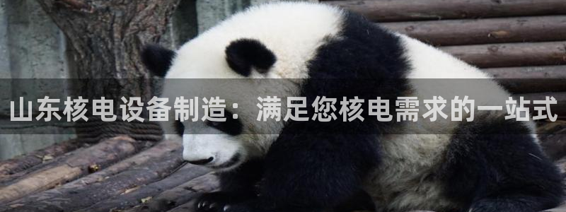 彩神vi争霸官网