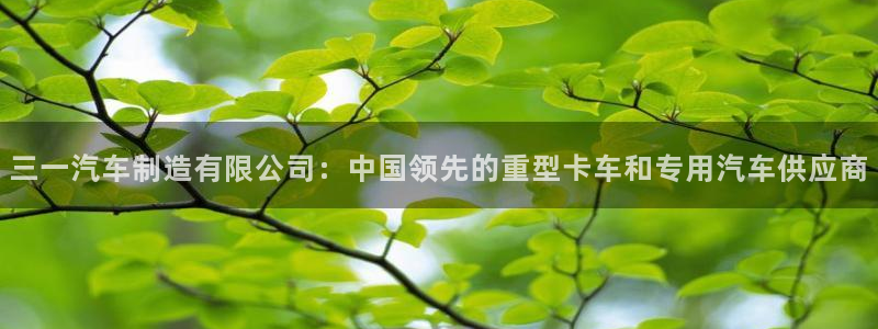 彩神vl购彩大厅