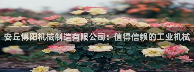 新版彩神v8登录