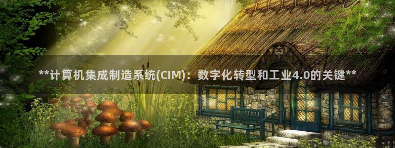 彩神购彩-购彩大厅入口计划群：**计算机集成制造系统(CIM