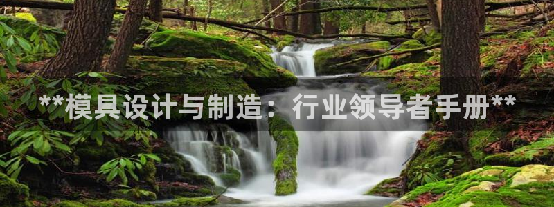 彩神怎么样可以提现：**模具设计与制造：行业领导者手册**