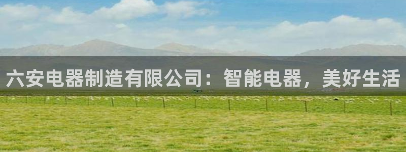所有彩神购买首页都一样吗：六安电器制造有限公司：智能电器，美