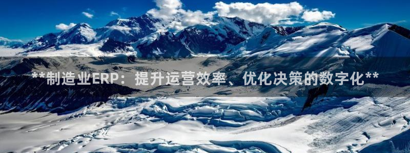 彩神vlll游戏特色：**制造业ERP：提升运营效率、优化决策的数字化**