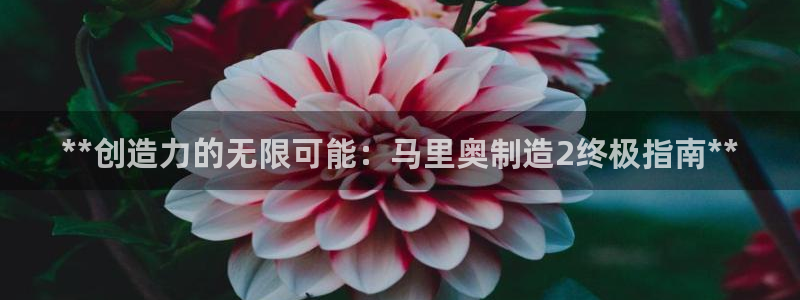 彩神的邀请码是多少：**创造力的无限可能：马里奥制造2终极指南**