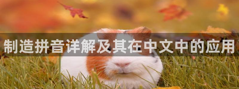 彩神vii官网大赢家