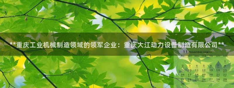 彩神v8下载