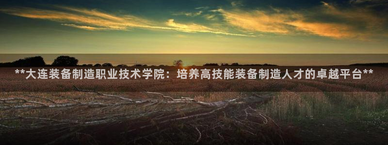 彩神vi争霸官网：**大连装备制造职业技术学院：培养高技能装