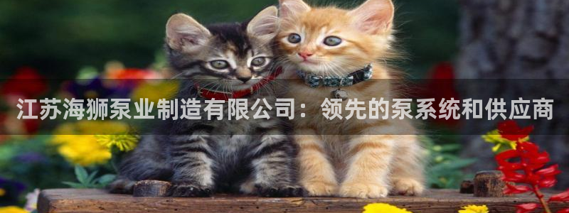 彩神v8购彩大厅登