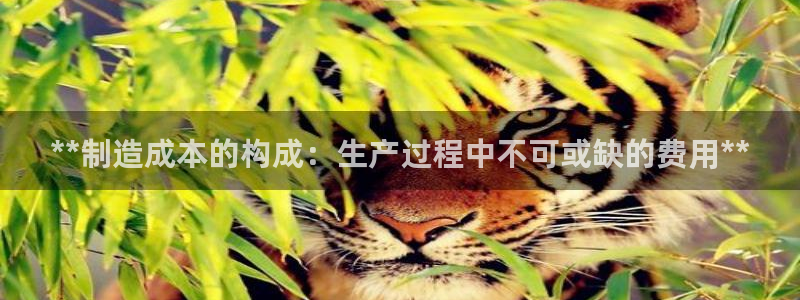 彩神v8平台正规吗知乎：**制造成本的构成：生产过程中不可或