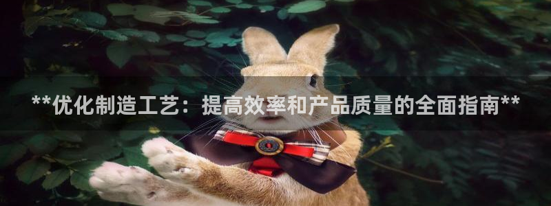 彩神vll官网-最新版app下载：**优化制造工艺：提高效率和产品质量的全面指南**